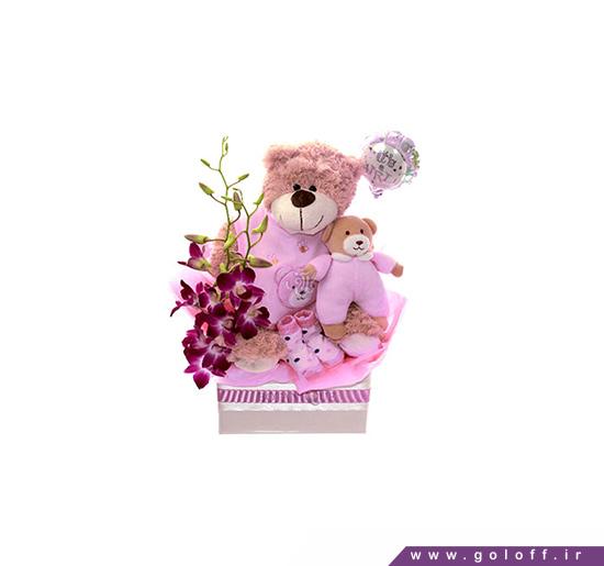سبد گل برای تولد نوزاد - سبد گل زایمان امیلی - Emili | گل آف